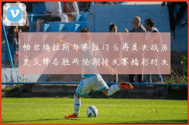 帕尔梅拉斯与弗拉门戈再度决战历史交锋各胜两场期待决赛精彩对决