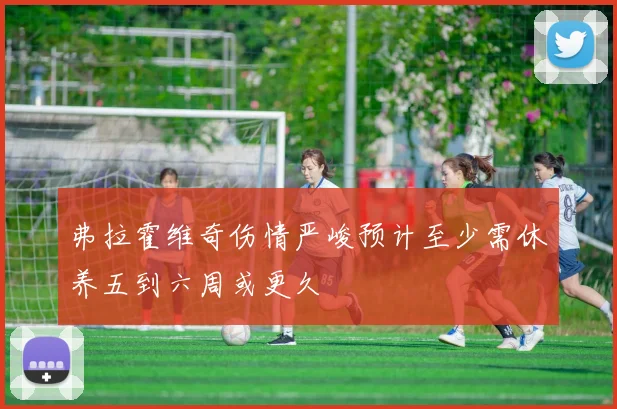 弗拉霍维奇伤情严峻预计至少需休养五到六周或更久