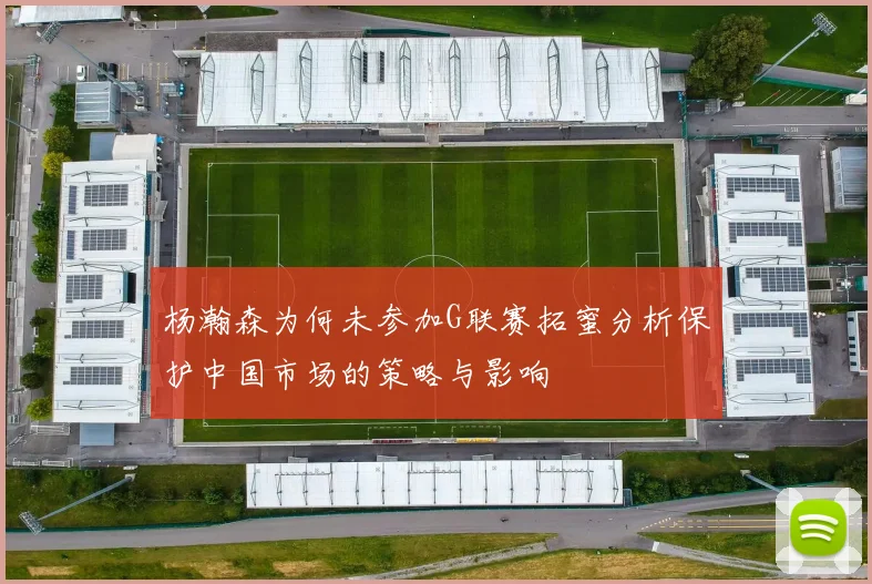 杨瀚森为何未参加G联赛拓蜜分析保护中国市场的策略与影响