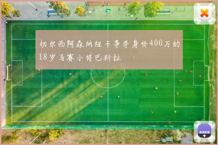 切尔西阿森纳纽卡争夺身价400万的18岁马赛小将巴科拉