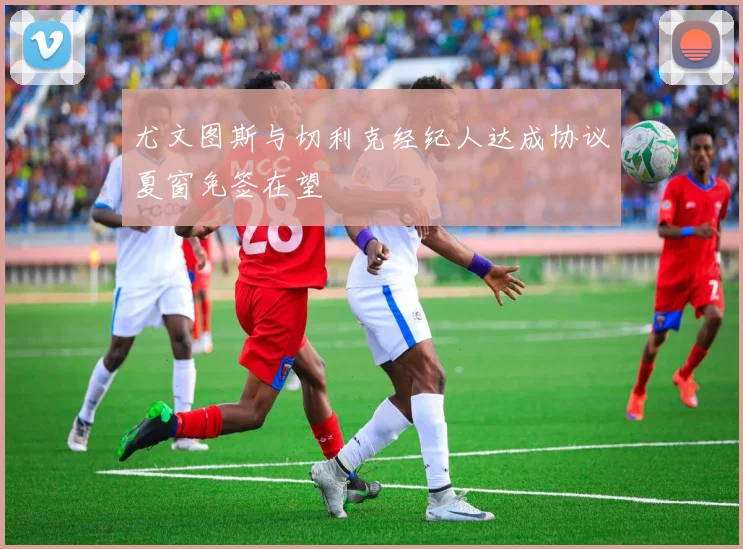 尤文图斯与切利克经纪人达成协议夏窗免签在望