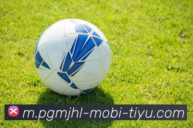 麻将胡了服务体系